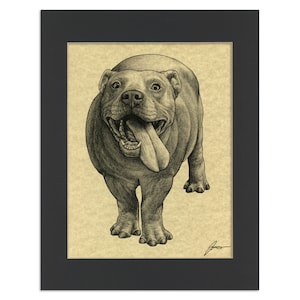 Pitopotamus Parchment Print | Pit Bull + Hippopotamus Hybrid Animal | 8.5x11&quot; Art Print in 11x14&quot; Black Mat