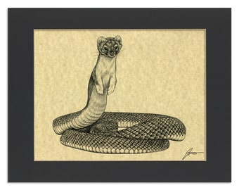 Sneasel Parchment Print | Snake + Weasel Hybrid Animal | Snake Hybrid Art | 8.5x11" Art Print in 11x14" Black Mat