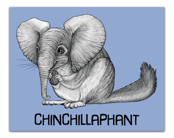 Chinchillaphant Kunstdruck | Chinchilla + Elefant Mischwesen Tier | 20x25cm  Kunstdruck - Etsy sterreich
