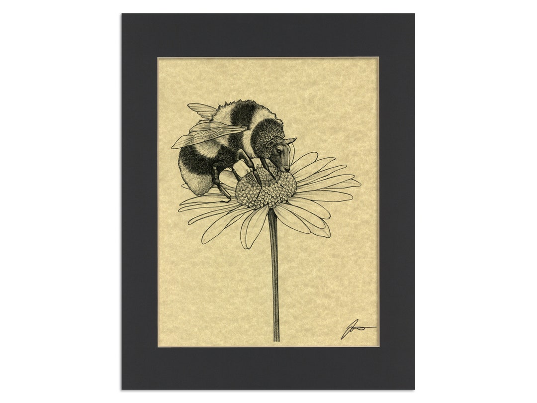 Beep Parchment Print | Bee + Sheep Hybrid Animal Art - Etsy