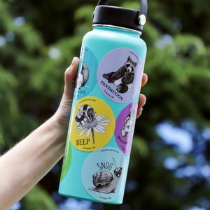 Pode incluir: Uma garrafa de &aacute;gua turquesa com uma variedade de adesivos redondos coloridos que apresentam ilustra&ccedil;&otilde;es de animais e texto. Os adesivos incluem um guaxinim, uma abelha, um caracol e um panda. O texto nos adesivos inclui "Pandagoon", "Beep", "Snug" e "Manatee".