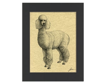 Alpacapoodle Parchment Print | Alpaca + Poodle Hybrid Animal | 8.5x11" Art Print in 11x14" Black Mat