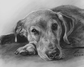 Custom Charcoal Pet Portrait | Hand-Drawn Dog Memorial Gift