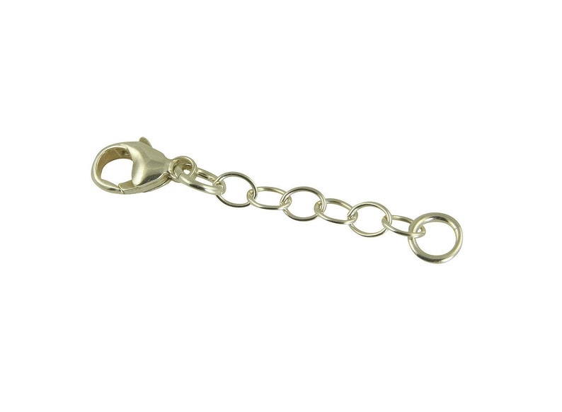 May include: A silver-colored jewelry extender with a lobster clasp on one end and a series of small, linked rings leading to a larger ring on the other end. The extender is designed to add length to necklaces or bracelets.
