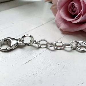 May include: A silver-colored chain extender with a lobster clasp on one end and a jump ring on the other. The chain has several oval links. A pink rose is in the background.