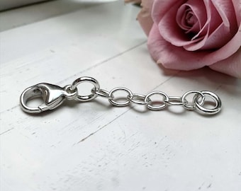 May include: A silver-colored chain extender with a lobster clasp on one end and a jump ring on the other. The chain has several oval links. A pink rose is in the background.