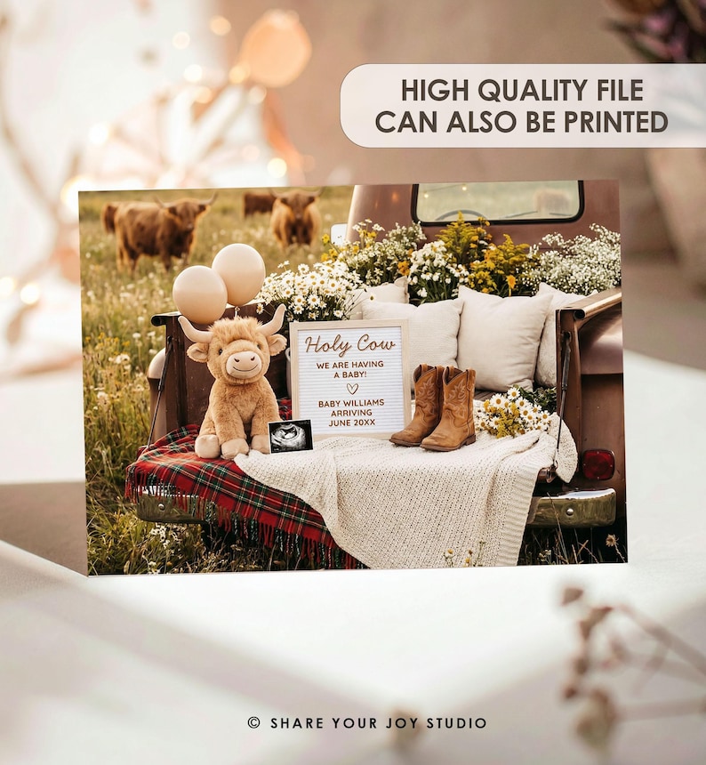 May include: A pregnancy announcement featuring a plush Highland cow, balloons, and cowboy boots in a vintage truck bed. The sign reads "Holy Cow, We Are Having A Baby!" with the baby's last name and expected arrival date. The background shows cows in a field.