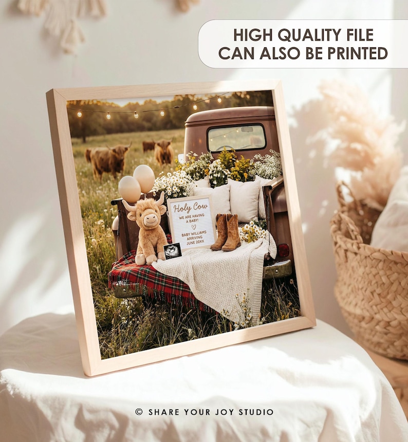 May include: A framed photograph featuring a vintage truck bed filled with flowers, pillows, and a sign that reads "Holy Cow We Are Having A Baby." A stuffed cow, ultrasound photo, and boots are also present. The background shows cows in a field.