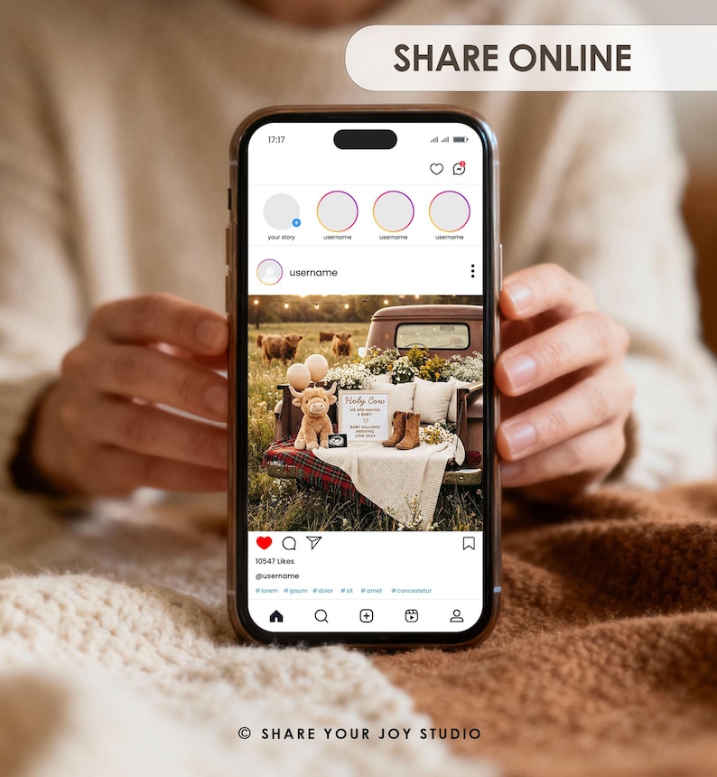 May include: A smartphone displays an Instagram post with a rustic theme. The post features a vintage truck bed decorated with pillows, flowers, and a stuffed animal. The text "Holy Cow" is visible, along with the words "SHARE ONLINE" at the top.