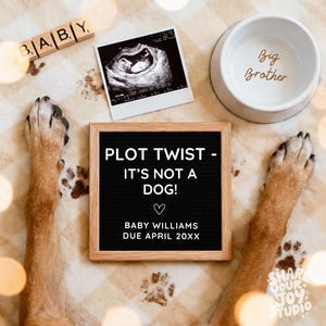 May include: An announcement with a black framed sign that reads "PLOT TWIST - IT'S NOT A DOG!" with the baby's name and due date. A sonogram, wooden letter blocks spelling "BABY", and a dog bowl that says "Big Brother" are also in the image.
