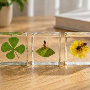 Nature Resin Set of 3, Clover Bee Ant Resin Blocks, Real Plant & Insect Specimen, Botanical Decor Gift Set, Unique Gift for Her