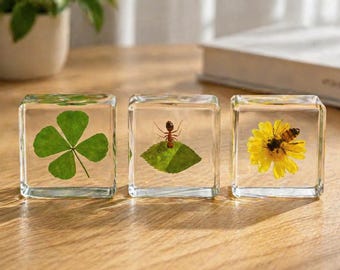 Nature Resin Set of 3, Clover Bee Ant Resin Blocks, Real Plant & Insect Specimen, Botanical Decor Gift Set, Unique Gift for Her