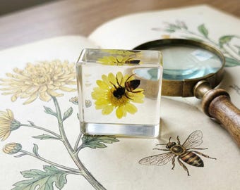Bee Resin Block with Daisy, Real Insect Specimen in Resin, Pressed Flower Art, Botanical Decor, Nature Gift, Unique Gift for Her