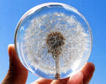 Dandelion Resin Sphere, Preserved Flower Paperweight, Wish Flower Gift, Memorial Keepsake, Gift for Mom, Sympathy Gift,Unique Handmade Decor