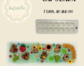 Capybara Thema Medikamente Box, dekoriert Pillendose, Resin Art