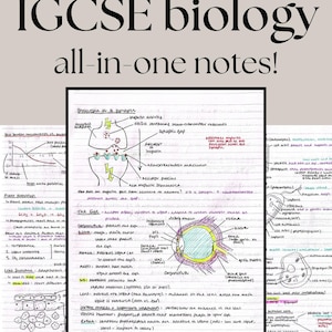 May include: Handwritten IGCSE biology study notes on lined paper featuring diagrams of a synapse, the human eye, and cellular structures. The text includes detailed labels and explanations for biological processes, written in black, blue, and red ink.