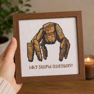 Può includere: Una cornice quadrata in legno contenente un ricamo a punto croce su tessuto bianco. Il design presenta una creatura rocciosa marrone pixelata dall'aspetto strutturato e il testo Why Stupid Question? ricamato in filo marrone sotto la figura.