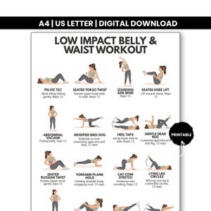 Op de afbeelding: Een afdrukbare digitale trainingsgids getiteld "Low Impact Belly & Waist Workout". De gids bevat geïllustreerde oefeningen, waaronder Pelvic Tilt, Seated Torso Twist en Standing Side Bend. Ontworpen voor thuisgebruik.