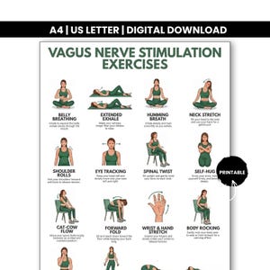 Pode incluir: Um cartaz de download digital intitulado Vagus Nerve Stimulation Exercises com doze figuras ilustradas em roupas esportivas verdes demonstrando vários movimentos como respiração abdominal, alongamentos de pescoço e torções com texto.