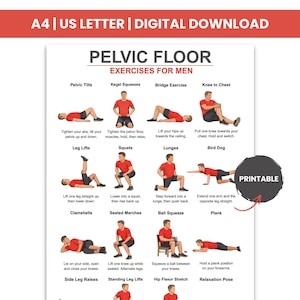 以下が含まれることがあります： 男性向けの骨盤底筋エクササイズを掲載した、印刷可能なデジタルダウンロード。ポスターには、骨盤チルト、ケーゲル体操、ランジなど、さまざまなエクササイズのイラストと説明が掲載されています。上部のテキストは「A4 | US LETTER | DIGITAL DOWNLOAD」と記載されています。