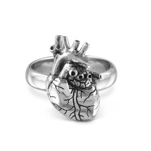 Anatomical Heart Ring - White Bronze Anatomical Heart Ring - Silver Heart Ring