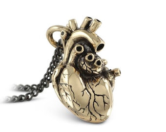 Anatomical Heart Necklace - Bronze Anatomical Heart Pendant