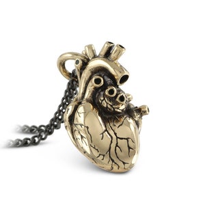 Anatomical Heart Necklace Bronze Anatomical Heart Pendant image 1