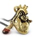 see more listings in the Anatomical Hearts section