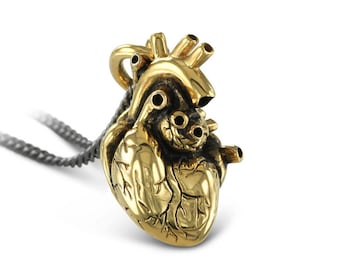 Gold Anatomical Heart Necklace - 24 Karat Gold Plated Bronze Anatomical Heart Pendant - Gold Heart Necklace