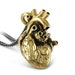 see more listings in the Anatomical Hearts section