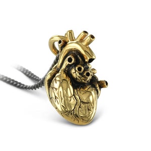 Gold Anatomical Heart Necklace - 24 Karat Gold Plated Bronze Anatomical Heart Pendant - Gold Heart Necklace