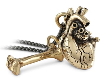 Anatomical Heart and Femur Bone Necklace - Bronze Heart and Bone Pendant