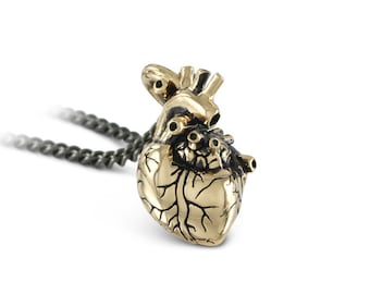 Anatomical Heart Necklace - Small Bronze Anatomical Heart Pendant