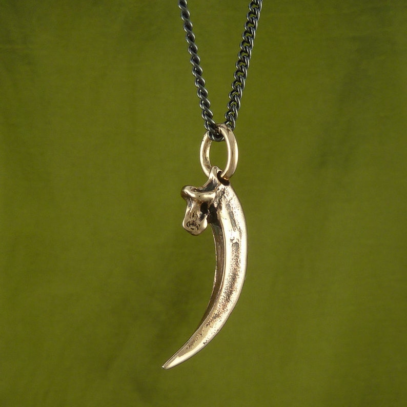 Raven Talon Necklace Bronze Bird Talon Pendant Talon Necklace image 6