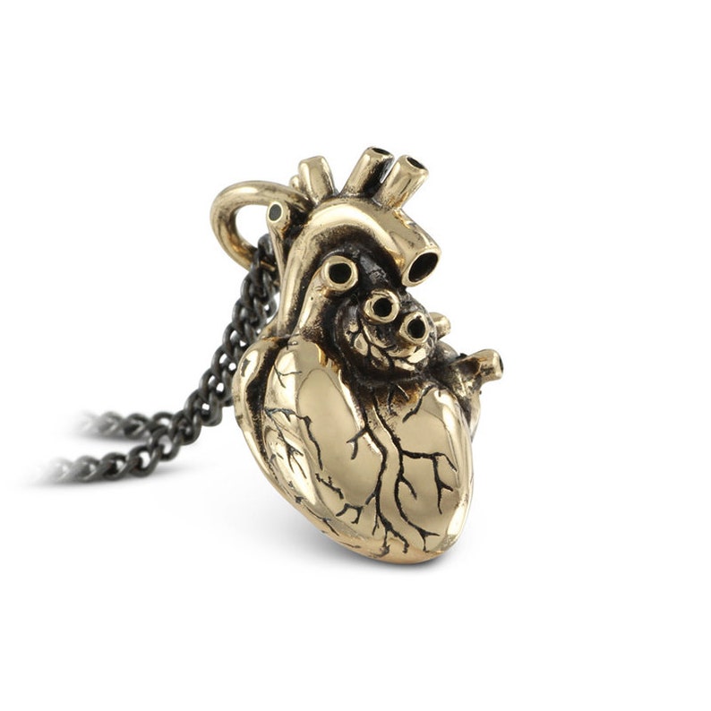 Anatomical Heart Necklace Bronze Anatomical Heart Pendant image 1