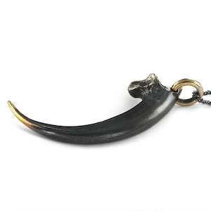 Talon Necklace - Black Golden Eagle Talon Pendant
