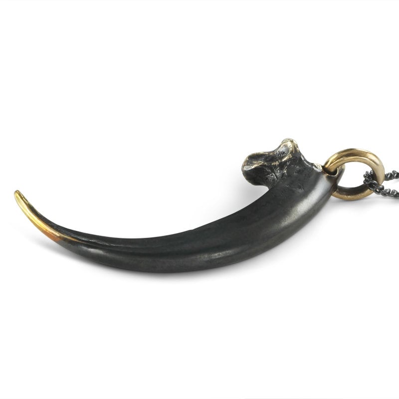 Talon Necklace Black Golden Eagle Talon Pendant