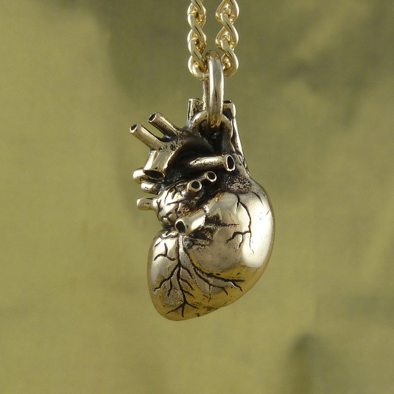 Anatomical Heart Necklace Bronze Anatomical Heart Pendant image 5