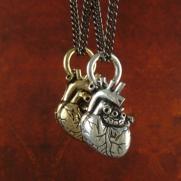 Día de San Valentín - Collares con forma de corazón anatómico - Tamaño pequeño - Colgantes pequeños con forma de corazón anatómico en plata antigua y bronce sobre cadena de bronce de 24"