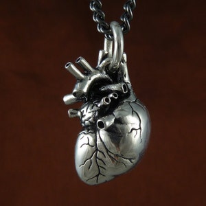 May include: A silver anatomical heart pendant necklace. The heart is detailed with veins and chambers. The necklace is on a black chain.