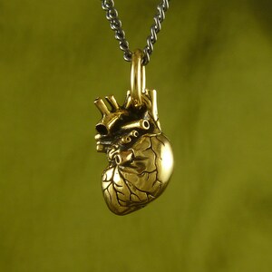 Gold Heart Necklace Small 24 Karat Gold Plated Anatomical Heart Pendant Heart of Gold image 5