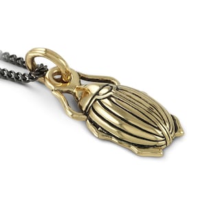 May include: A gold-toned beetle pendant necklace. The pendant is detailed with a textured, segmented body and a loop for attaching to a chain.