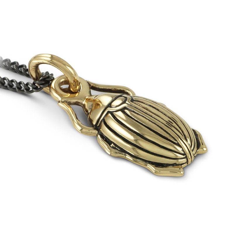 May include: A gold-toned beetle pendant necklace. The pendant is detailed with a textured, segmented body and a loop for attaching to a chain.