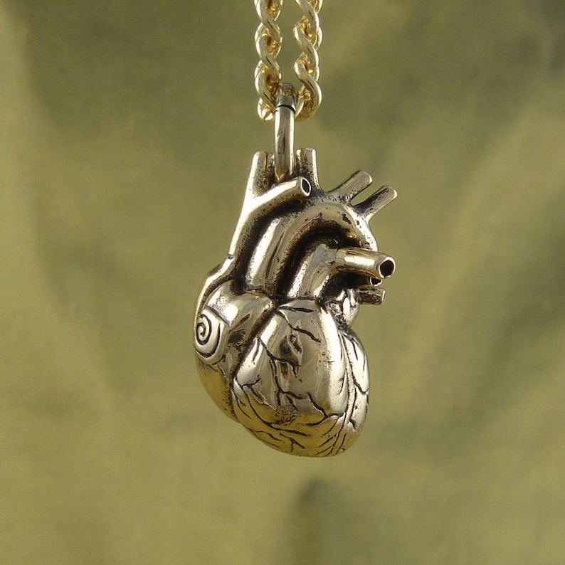 Anatomical Heart Necklace Bronze Anatomical Heart Pendant | Etsy