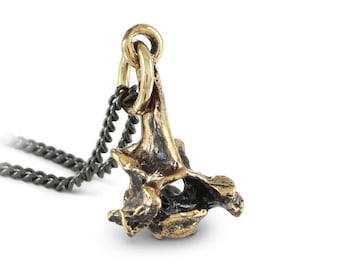 Vertebra Necklace - Bronze Squirrel Vertebra Pendant