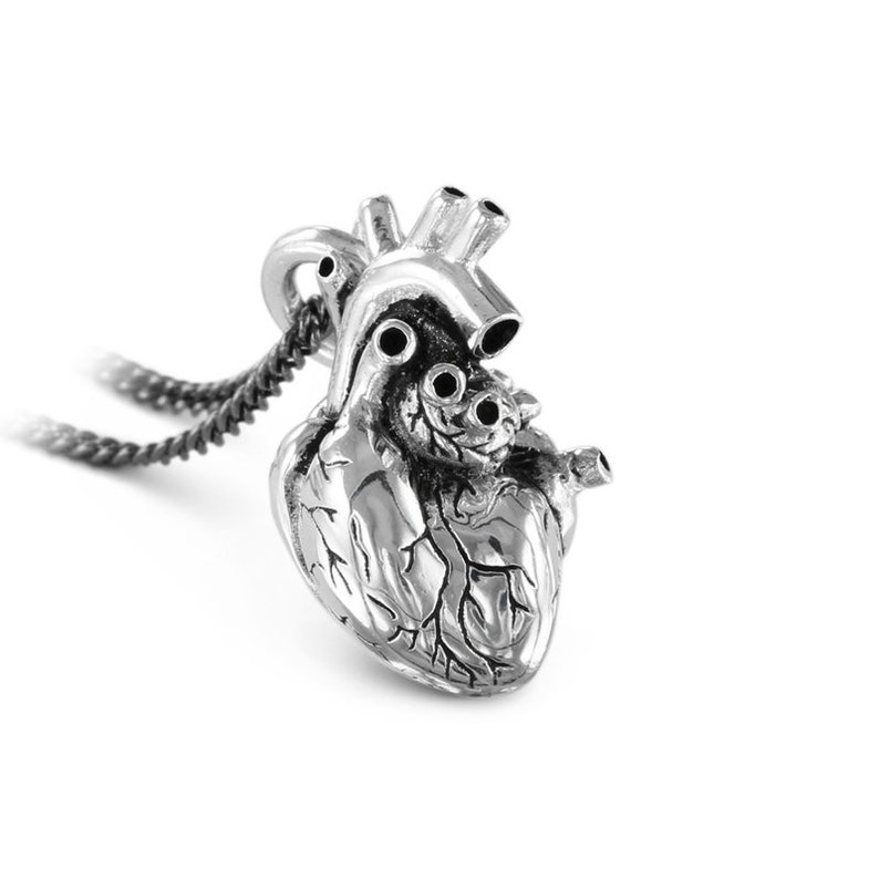 May include: A silver anatomical heart pendant necklace with a detailed design. The heart is attached to a black chain.