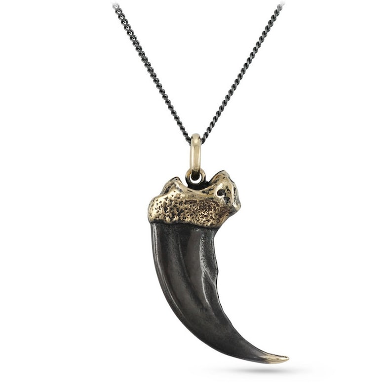 Bronze Bear Claw Pendant Black Bear Claw Bear Claw Necklace