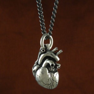 May include: A silver anatomical heart pendant necklace with a detailed design. The pendant is attached to a silver chain.