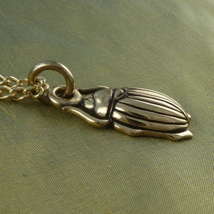 May include: A gold-toned beetle pendant necklace. The pendant is detailed with a textured, segmented body and a small head. The necklace is made of a gold chain.