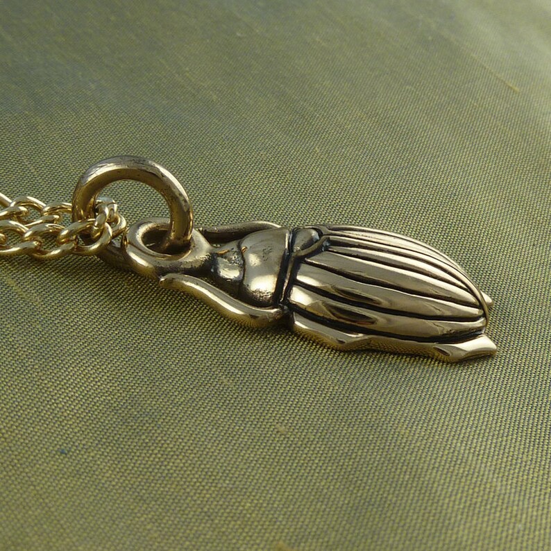 May include: A gold-toned beetle pendant necklace. The pendant is detailed with a textured, segmented body and a small head. The necklace is made of a gold chain.